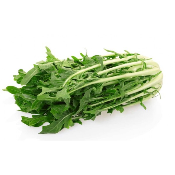 Cicoria Catalogna biologica 500 g