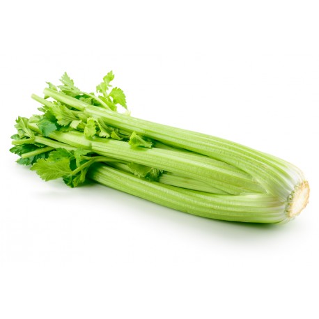 Sedano verde bio 1 kg in OFFERTA