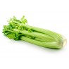 Sedano verde bio 1 kg in OFFERTA