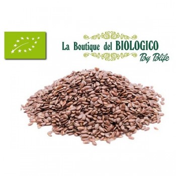 Semi di lino bio 100 gr (SFUSI)