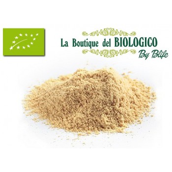 Farina di Soia Tostata Bio 100 g (SFUSA)