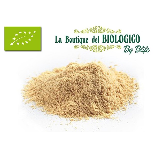 Farina di Soia Tostata Bio 100 g (SFUSA)
