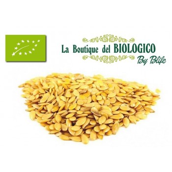 Semi di lino dorati bio 100 gr (SFUSI)