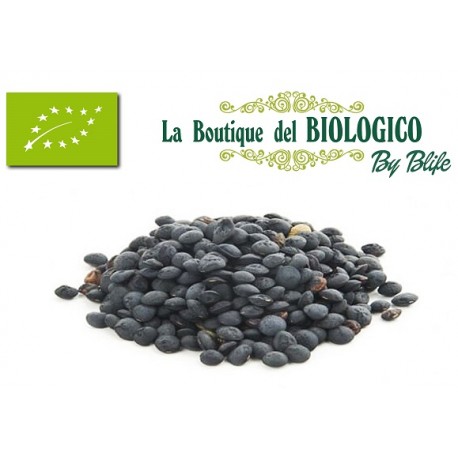 Lenticchie nere bio Italia 100 gr (SFUSE)