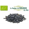 Lenticchie nere bio Italia 100 gr (SFUSE)