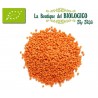 Lenticchie rosse decorticate bio 100 gr Italia (SFUSE)