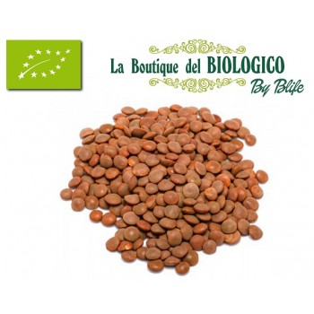 Lenticchie rosse intere bio 100 gr Italia (SFUSE)