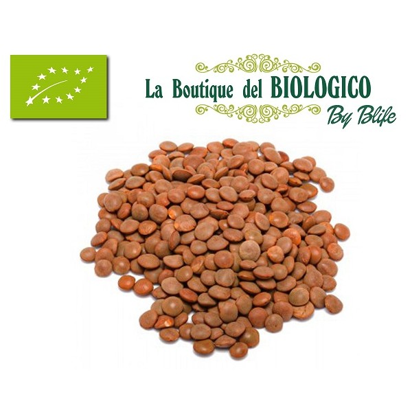 Lenticchie rosse intere bio 100 gr Italia (SFUSE)