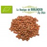 Lenticchie rosse intere bio 100 gr Italia (SFUSE)