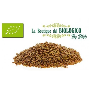 Lenticchie Piccole di montagna Rosse bio 100gr (SFUSE)