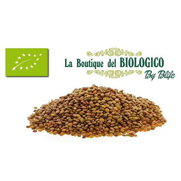 Lenticchie Piccole di montagna Rosse bio 100gr (SFUSE)