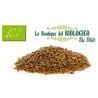 Lenticchie Piccole di montagna Rosse bio 100gr (SFUSE)