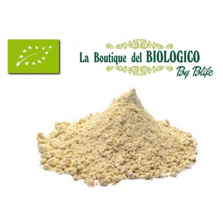 Farina di fagioli Borlotti Bio 100 g (sfusa)