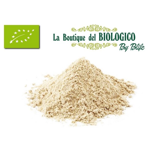 Farina di avena bio 100 g (SFUSA)