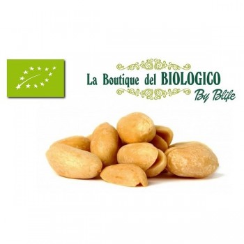 Arachidi sgusciate tostate senza sale bio 100 g (SFUSE)