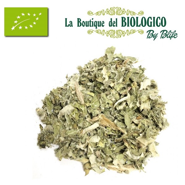 Carciofo disidratato in pezzi bio 10 gr  (SFUSO) x tisana