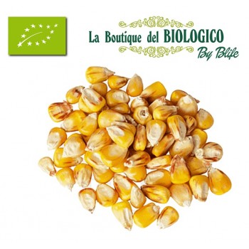 Mais giallo bio in grani 100 g (sfuso)