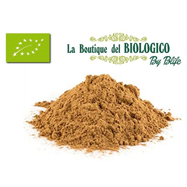 Dattero in polvere bio 100 gr (SFUSO)