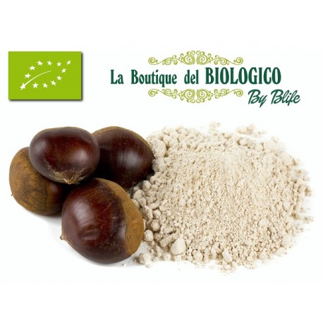 Farina di Marroni bio 100 g (SFUSA)