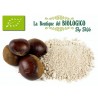 Farina di Marroni bio 100 g (SFUSA)