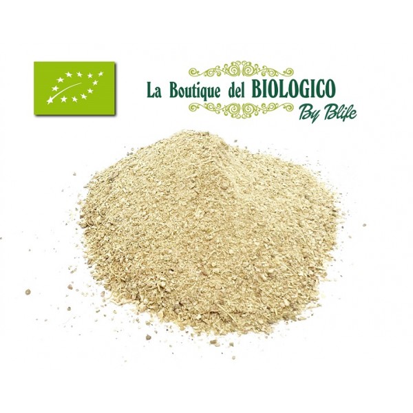 Farina di Cladodi bio 50 g (SFUSA)