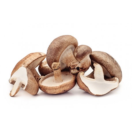 Funghi Shiitake freschi bio 250 g
