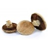 Funghi Portobello bio 250 g