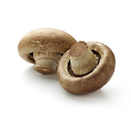 Funghi Champignon crema grandi bio 300 g