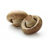 Funghi Champignon crema grandi bio 300 g