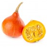 Zucca Hokkaido bio 800 g - 1 kg c.ca