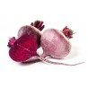 Rape Rosse bio 500 g