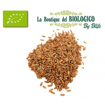 Riso Rosso Angelo Eroico bio 100 gr (SFUSO)