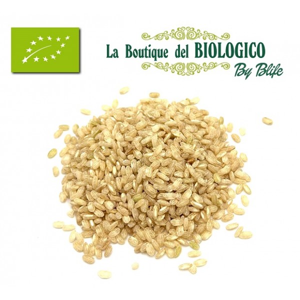 Riso integrale Dellarole bio (sfuso) 100 gr