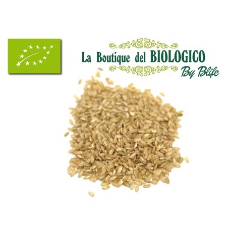 Riso Bertone Integrale bio 100 gr (SFUSO)