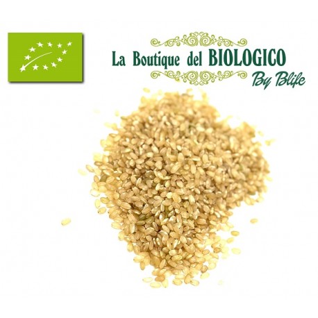Riso integrale Chinese originario bio (sfuso) 100 gr