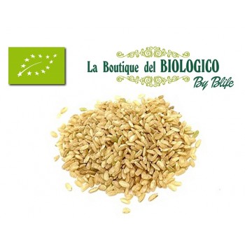 Riso Bertone semilavorato bio 100 gr (SFUSO)
