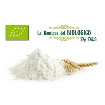 Farina di grano tenero Bio tipo "1" 100 g (SFUSA)