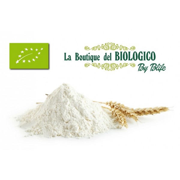 Farina di grano tenero Bio tipo "1" 100 g (SFUSA)