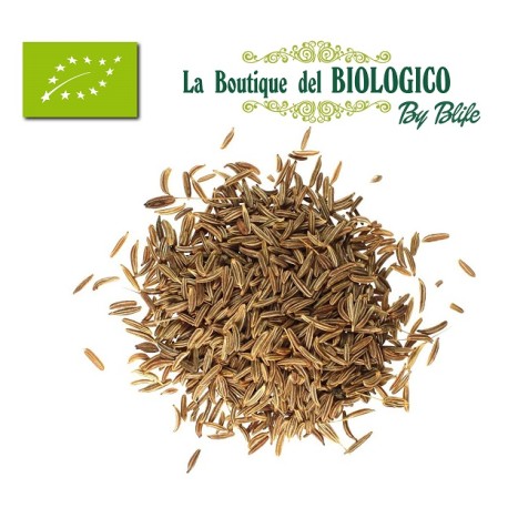 Semi di cumino bio (Carum carvi L.) sfusi 100 g