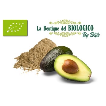 Avocado in polvere bio (sfuso)