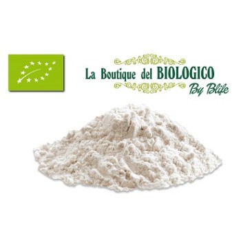 Latte di riso in polvere solubile bio sfuso 100 gr