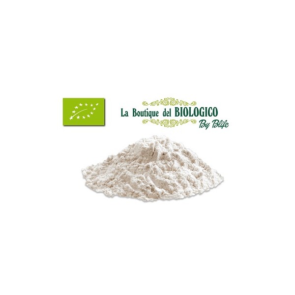 Latte di riso in polvere solubile bio sfuso 100 gr