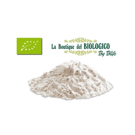 Latte di riso in polvere solubile bio sfuso 100 gr