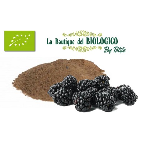 More in polvere bio 50 g (SFUSE)