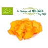 Chips di cachi mela bio 25 g (SFUSE)