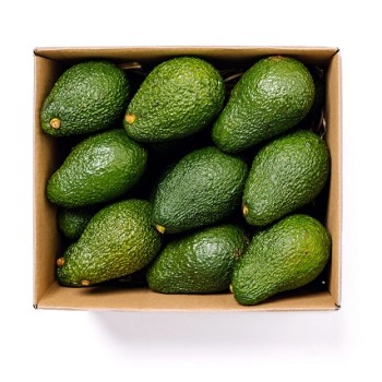 Avocado bio 2 kg bauletto