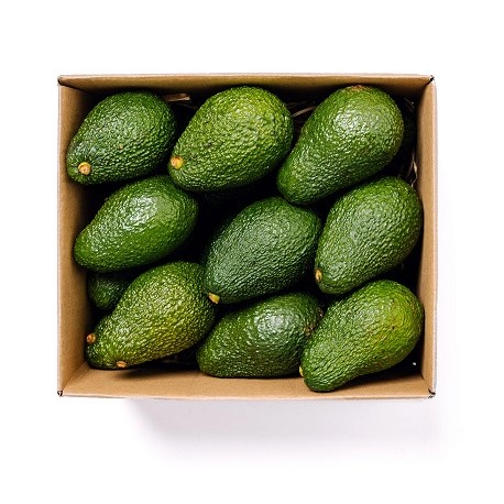 Avocado bio 2 kg bauletto