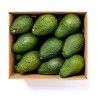 Avocado bio 2 kg bauletto