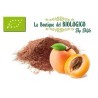 Albicocca in polvere bio 25 gr (SFUSA)