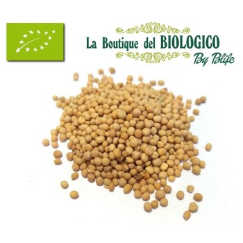 Senape gialla in grani bio 100 g (SFUSA)